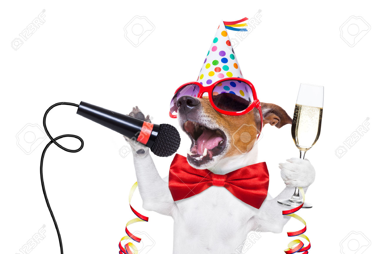 46576827-jack-russell-dog-celebrating-new-years-eve-with-champagne-and ...