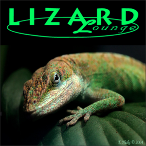lounge lizard fl studio